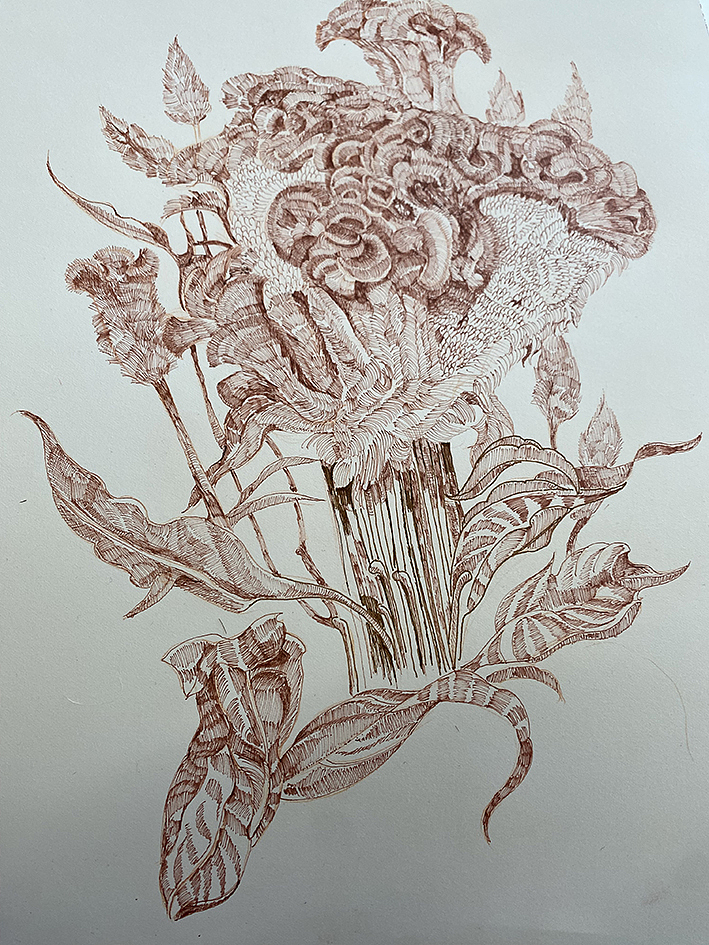 我的大花园(手绘花卉与热植包装)(图ZMzMzOTE2NTE2) - 商业插画 - 站酷设计师寒江雪的插画原创素材 - 站酷ZCOOL