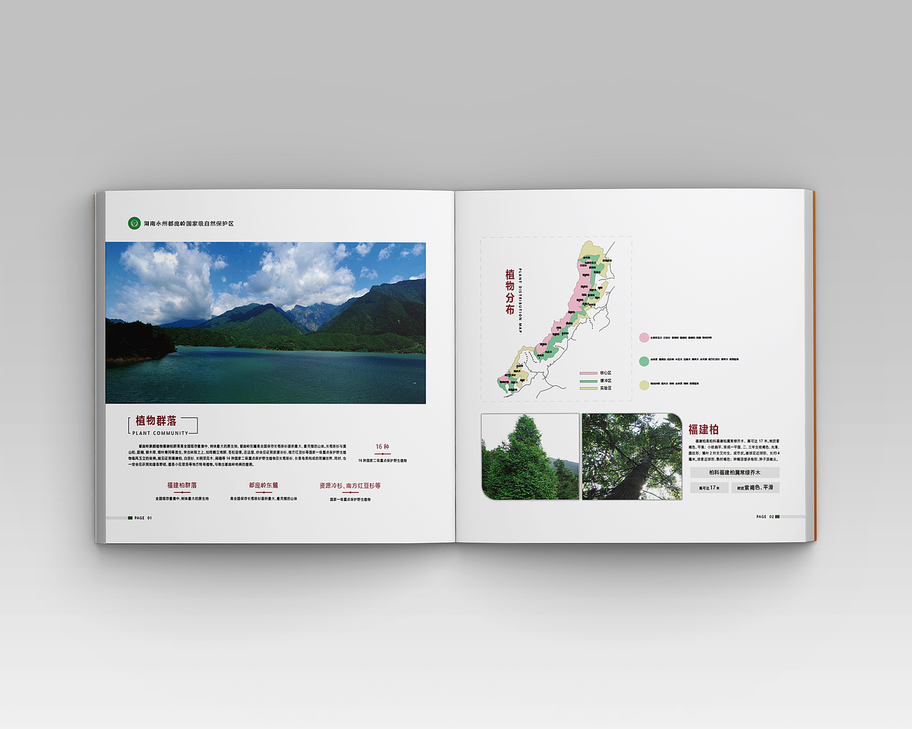 宣传画册-画册设计-画册设计