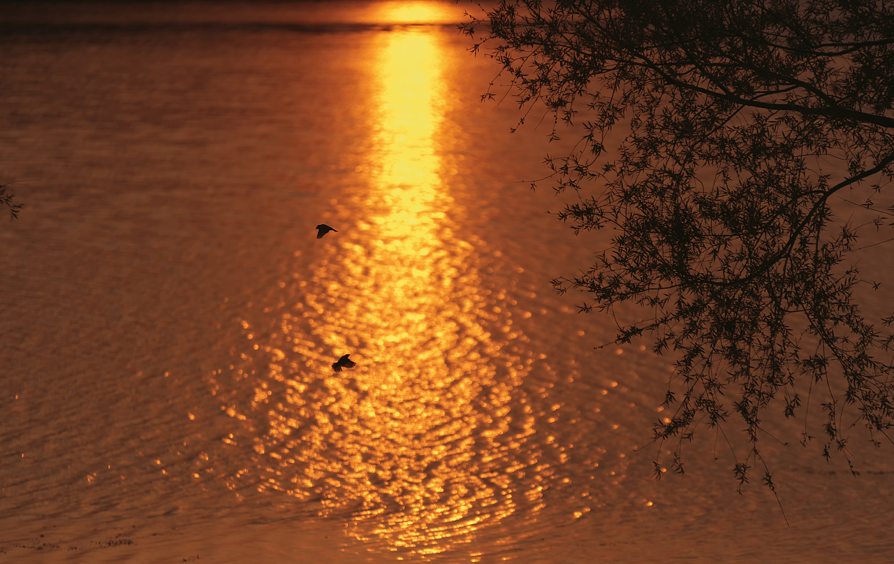 我又想起那天我在夕阳下的奔跑,那是我逝去的青春