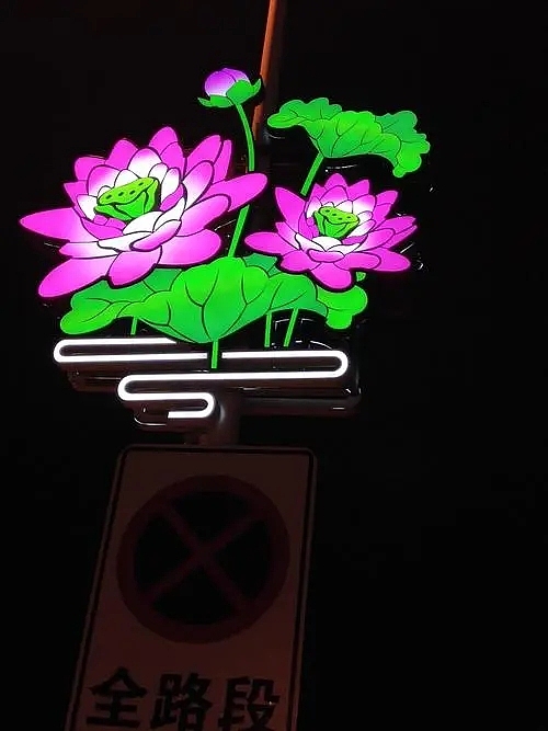 城市文化特色路灯杆灯箱荷花亮化装饰世博光电山水和州（图ZMzEyNjc5ODMy） - 时尚/艺术摄影 - 站酷设计师世博光电景观灯原创素材 - 站酷ZCOOL