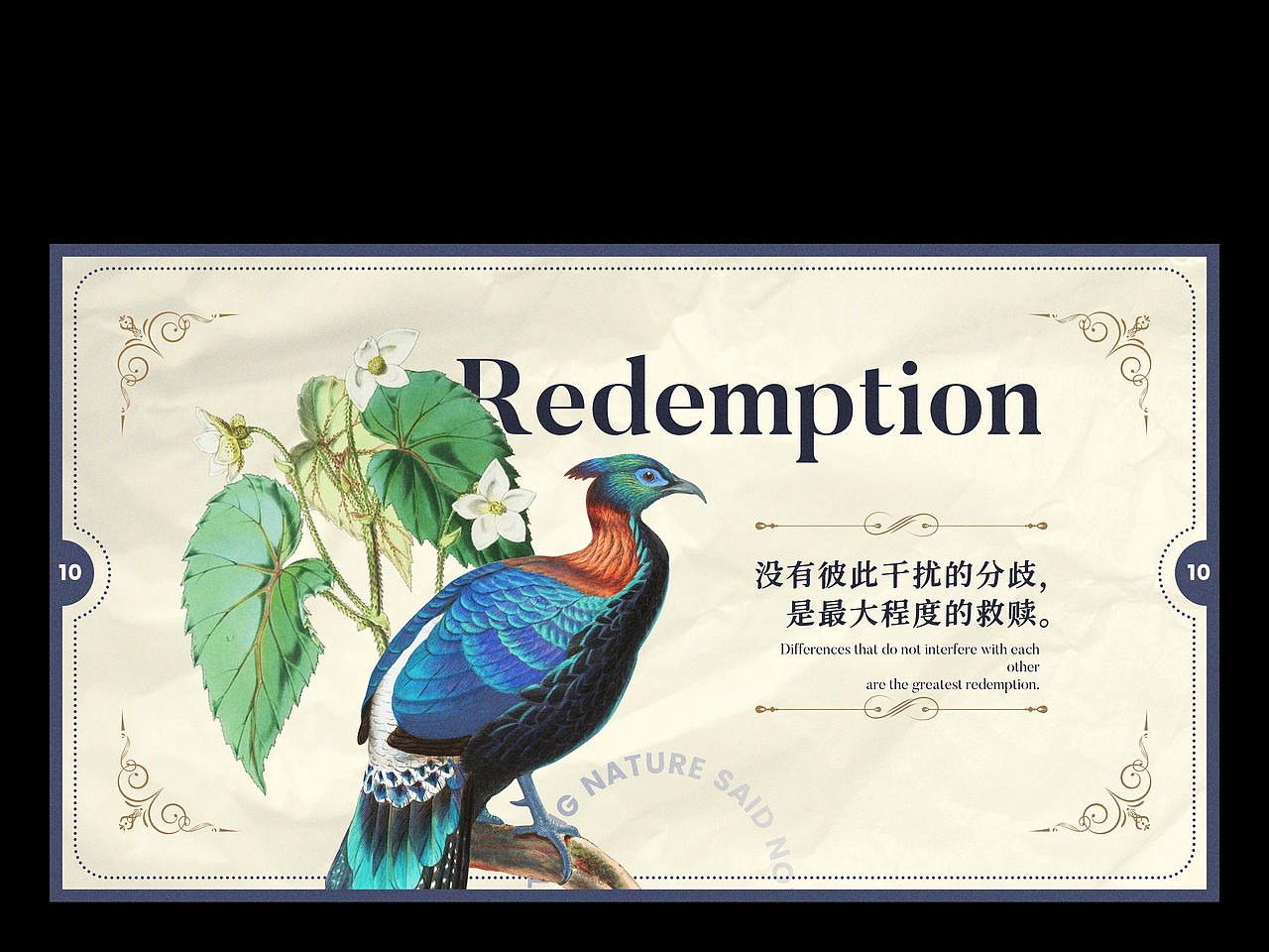 【自然选择不说】复古自然插画主题PPT模板（图ZMzE1MzQ5MDgw） - PPT/Keynote - 站酷设计师凉了药原创素材 - 站酷ZCOOL