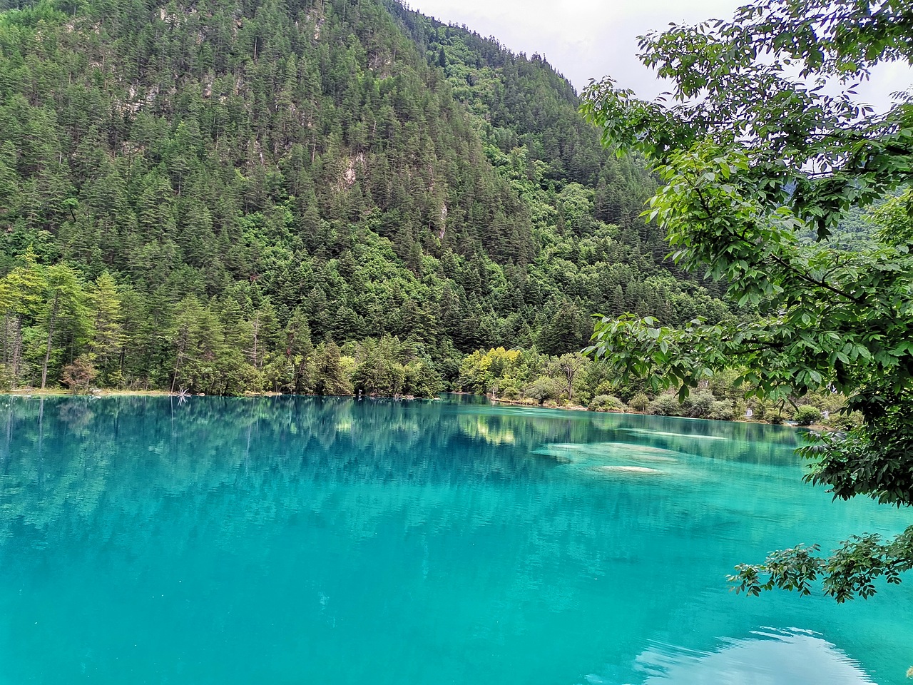 五彩缤纷九寨沟(下)