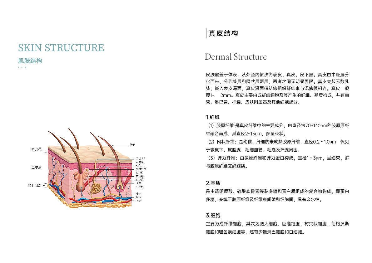 医美类-品牌手册设计