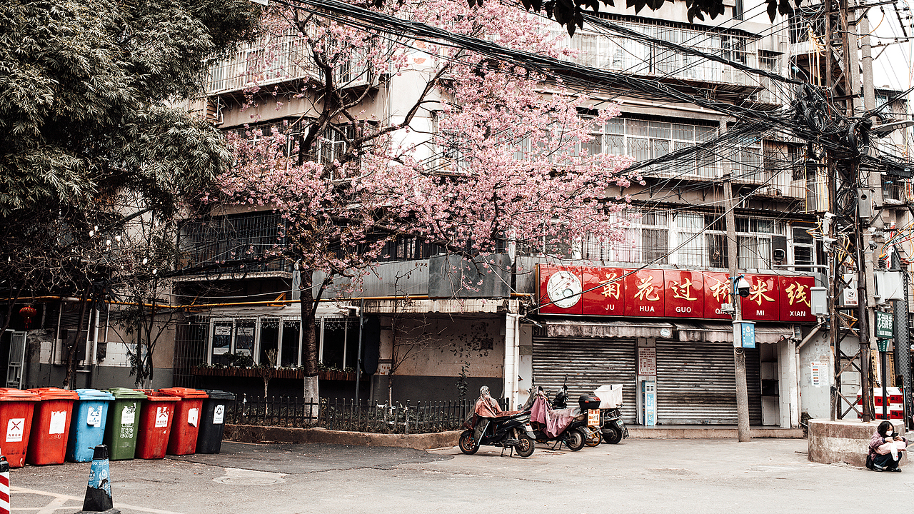 重返云南大学