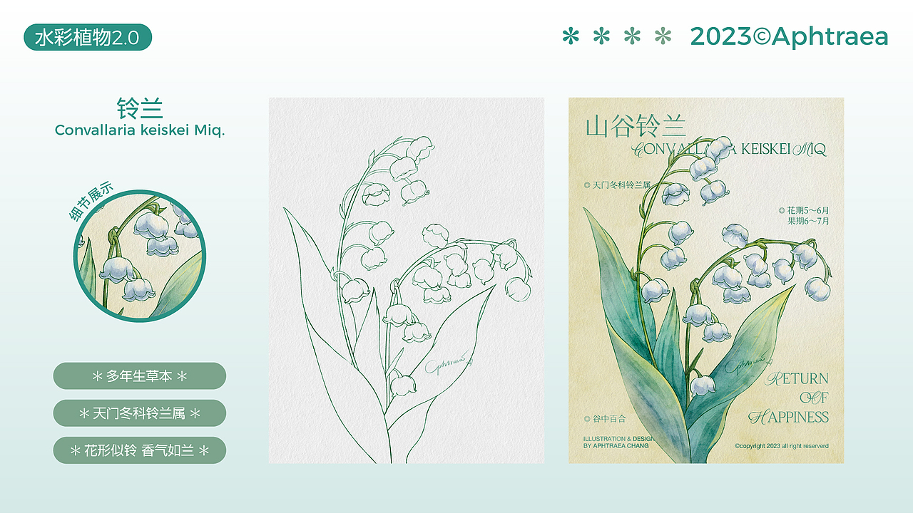 水彩花卉插画2.0合集（图ZMzU1ODk5MzI0） - 商业插画 - 站酷设计师阿芙特莱雅原创素材 - 站酷ZCOOL