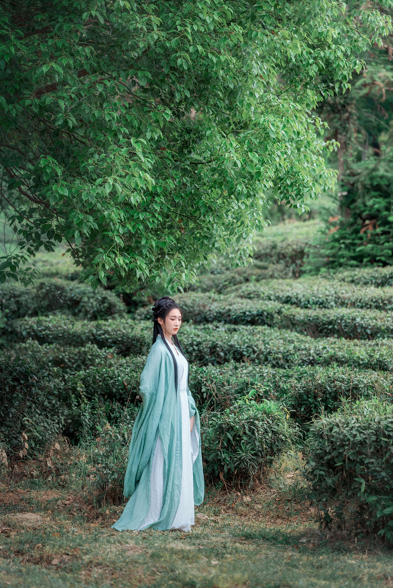 茶园漫步（图ZMzEwMDcyMjgw） - 人像摄影 - 站酷设计师糊涂仙人LEO原创素材 - 站酷ZCOOL