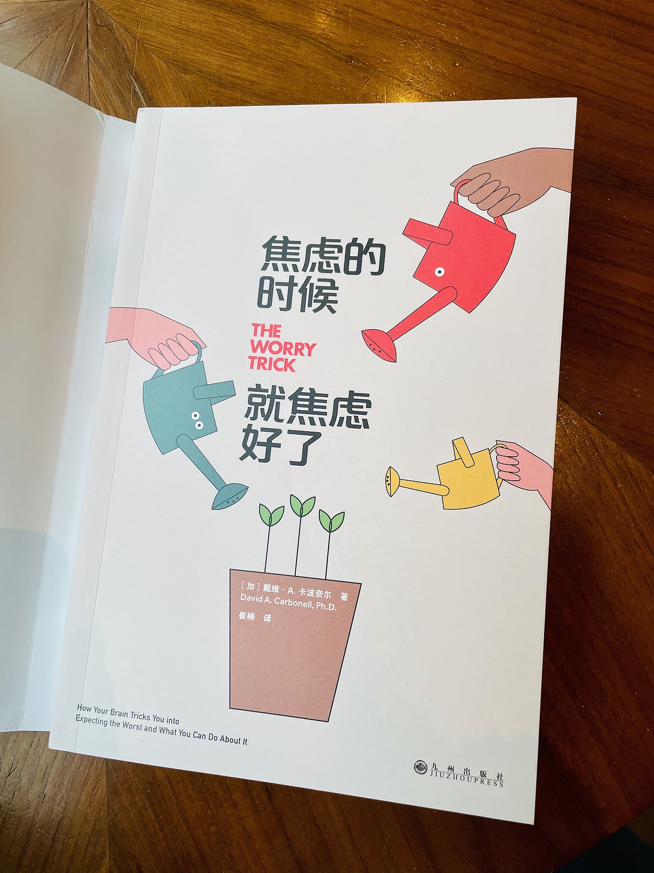 书籍封面《焦虑的时候就焦虑好了》