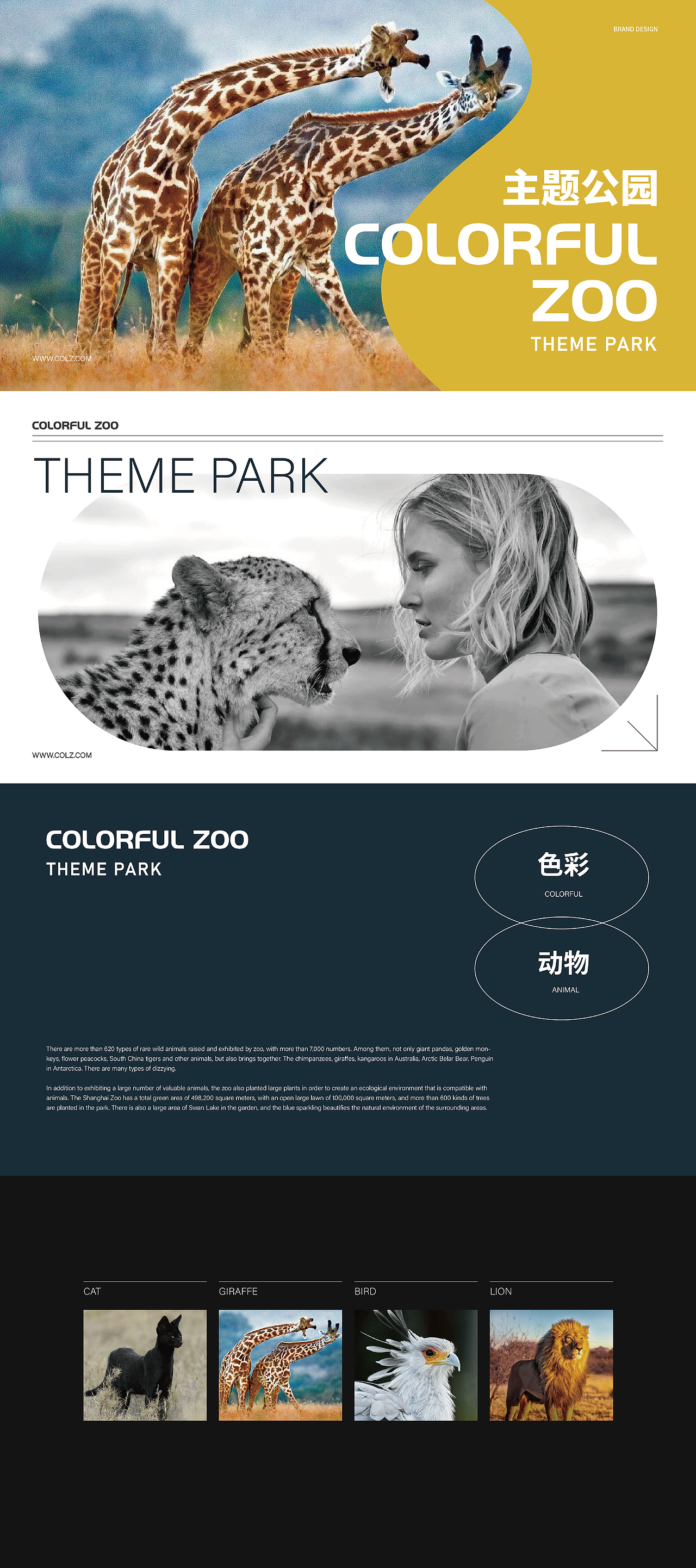动物主题公园 | 几何品牌设计