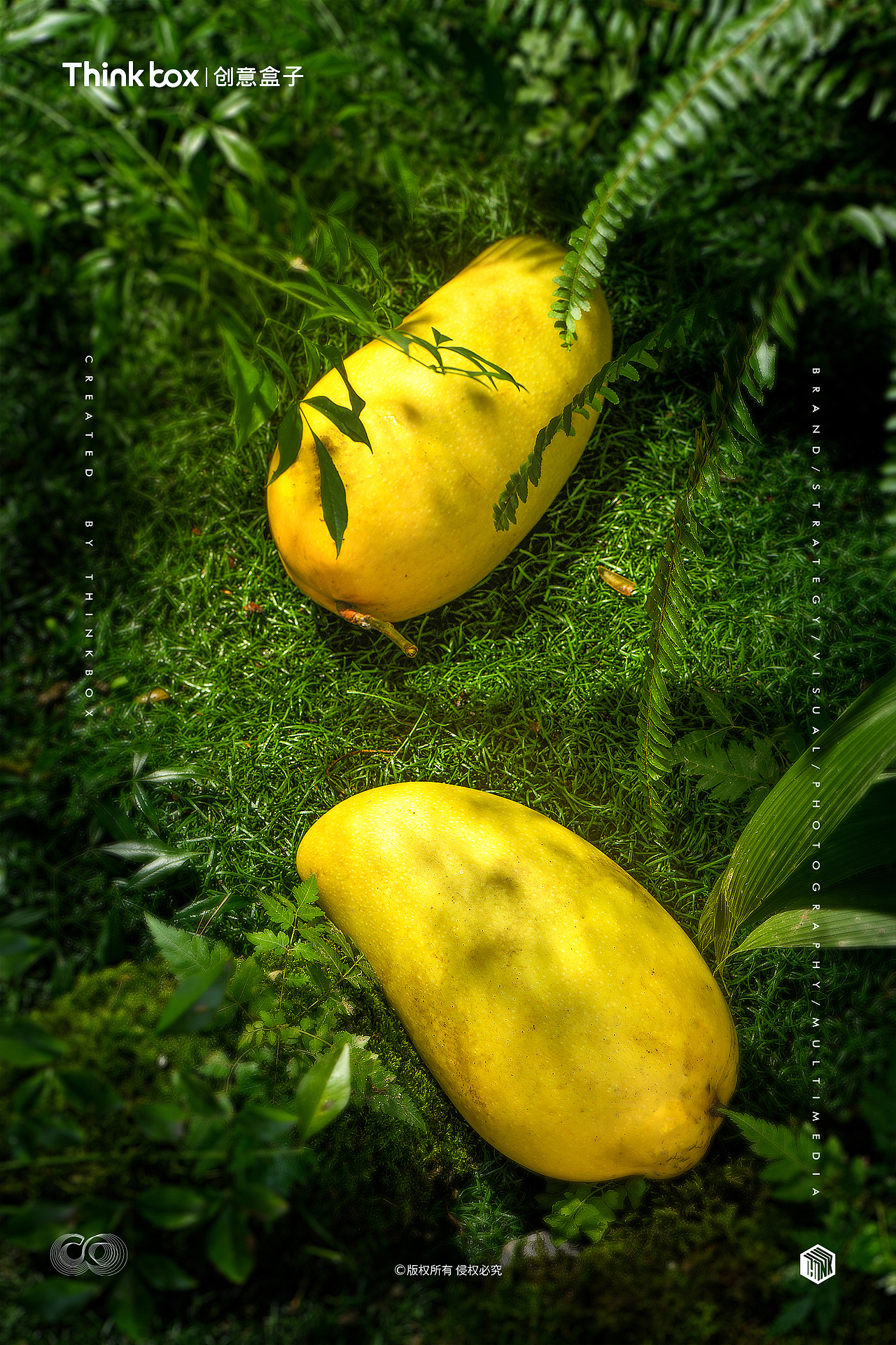 攀枝花金煌芒果拍摄||产品摄影✖青黄两副面孔的芒果