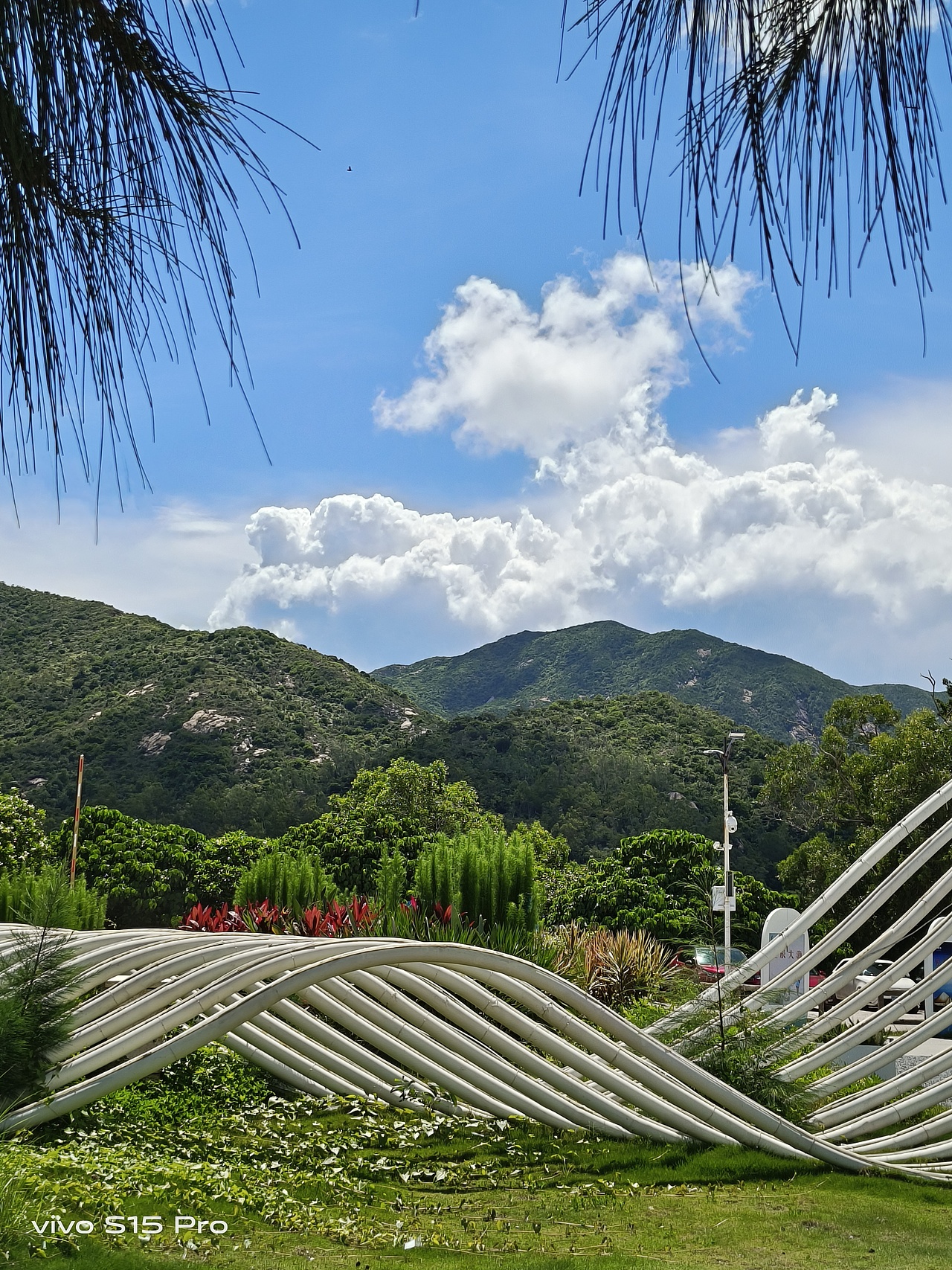 vivo S15 Pro 随手拍原图直出