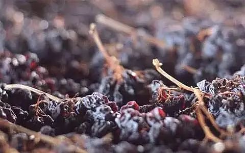 爆款——普雷吉奥限量版红葡萄酒（图ZMzM4NTU5NzQ0） - 其他工业/产品 - 站酷设计师jiu8888原创素材 - 站酷ZCOOL