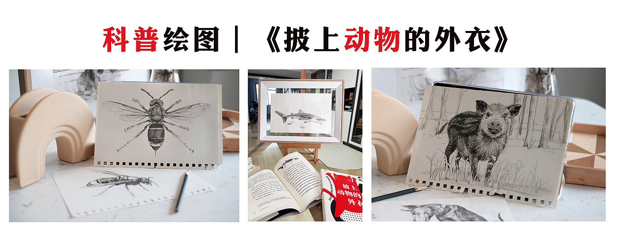 科普绘图|了解一种动物的最好方法是——成为它!(图ZMzE5Mjc4MzA0) - 艺术插画 - 站酷设计师插画师西米鹿原创素材 - 站酷ZCOOL