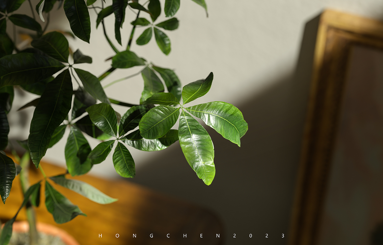 点石渲染器宣传图（图ZMzQ5NDk2MzEy） - 产品 - 站酷设计师鸿宸原创素材 - 站酷ZCOOL