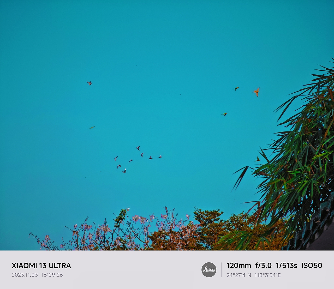 厦门之旅（图ZMzU1MDI4OTgw） - 风光摄影 - 站酷设计师TUBI颗粒子原创素材 - 站酷ZCOOL