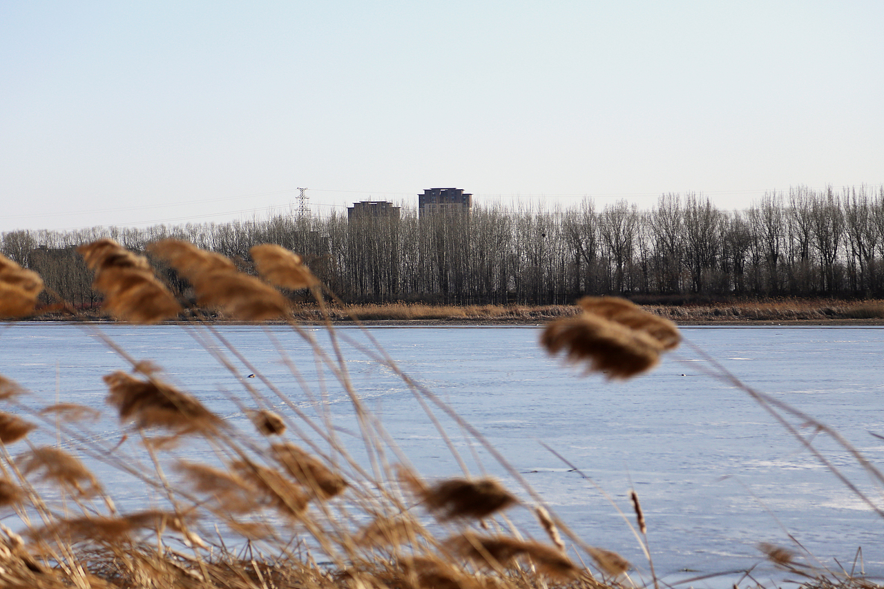 旅拍一座城，今天拍到的是——天津宝坻（图ZMzYyOTQ1OTEy） - 风光摄影 - 站酷设计师Shirley_1205原创素材 - 站酷ZCOOL