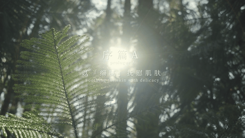 王艺瑾X汤姆林森洗护系列