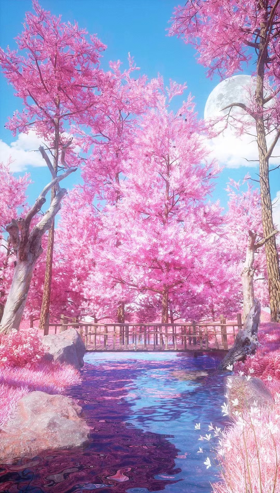 2022年做的201张图