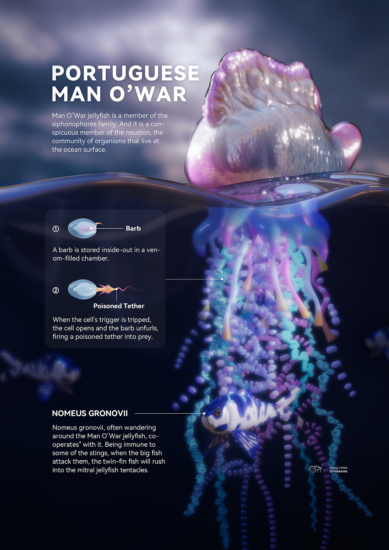 2023医学可视化作品合集（图ZMzU5MjA0NTI0） - 创作习作 - 站酷设计师不当咸鱼的咸鱼原创素材 - 站酷ZCOOL