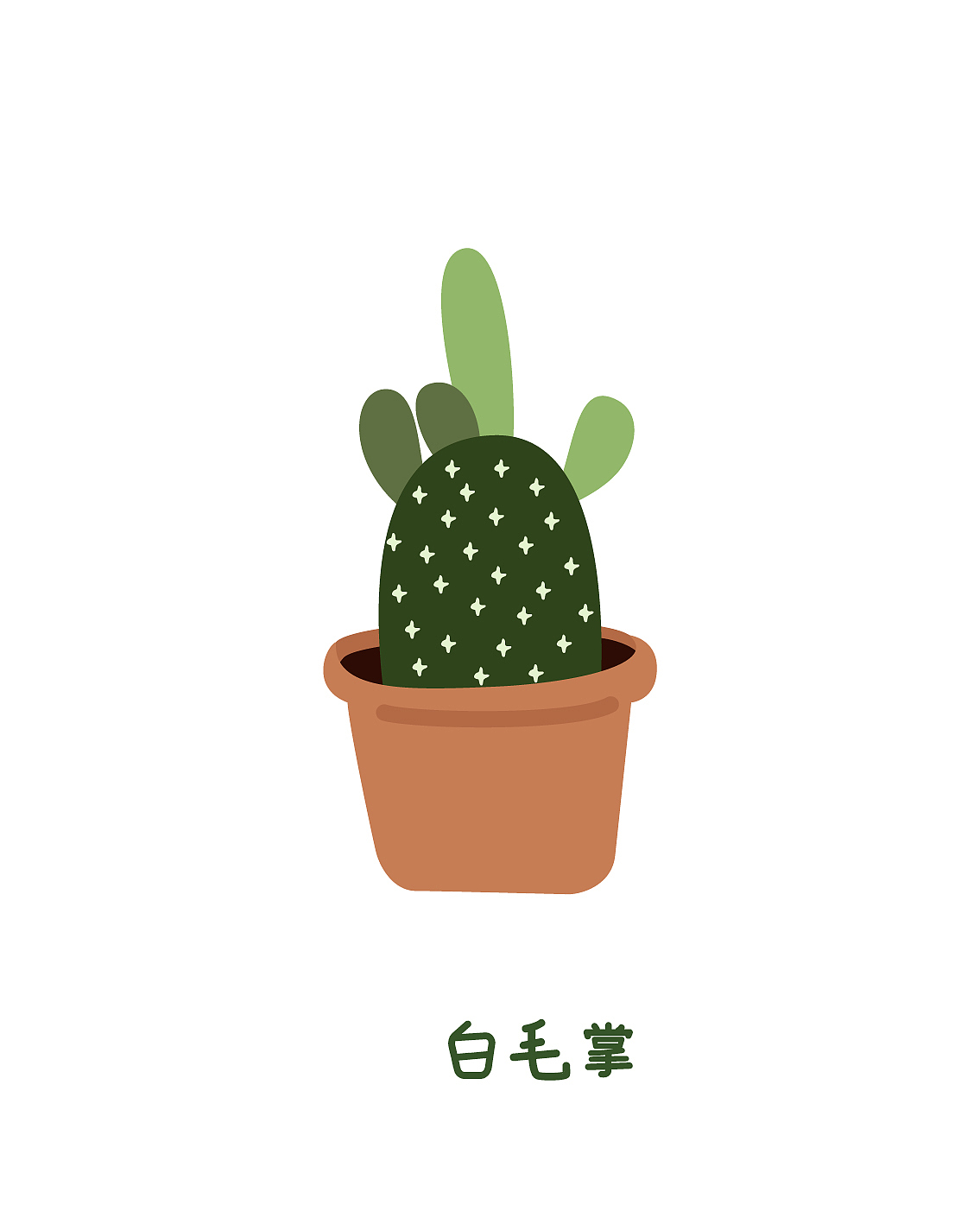 插画习作 | 仙人掌