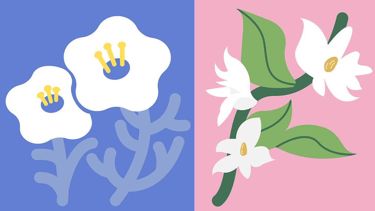 AI手绘练习-非原创