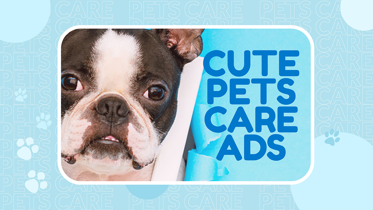 网页动画包装-可爱的宠物护理广告（图ZMzM5OTAzNTg0） - 电商 - 站酷设计师饼干块儿原创素材 - 站酷ZCOOL