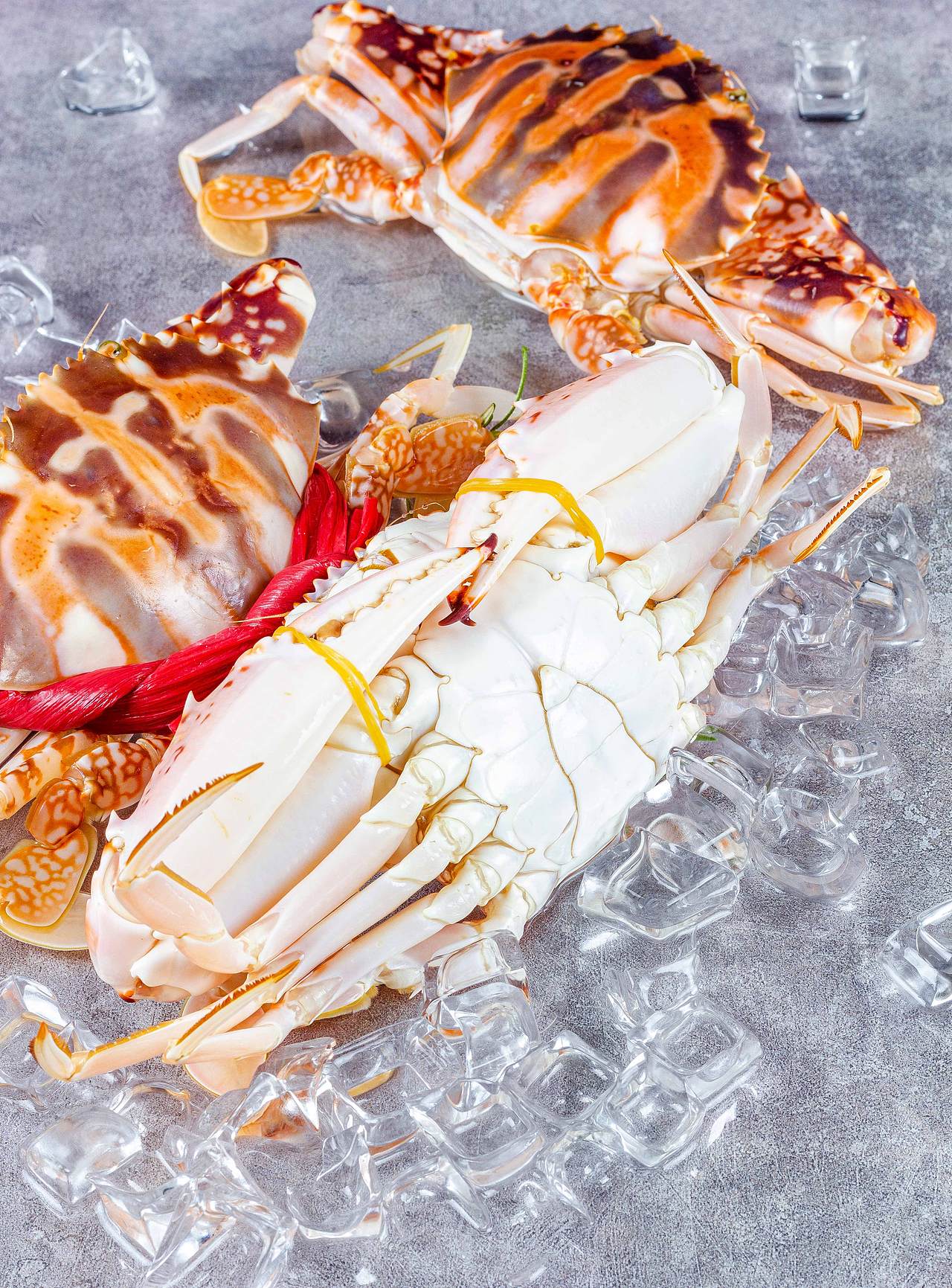 【海鲜摄影】红花蟹