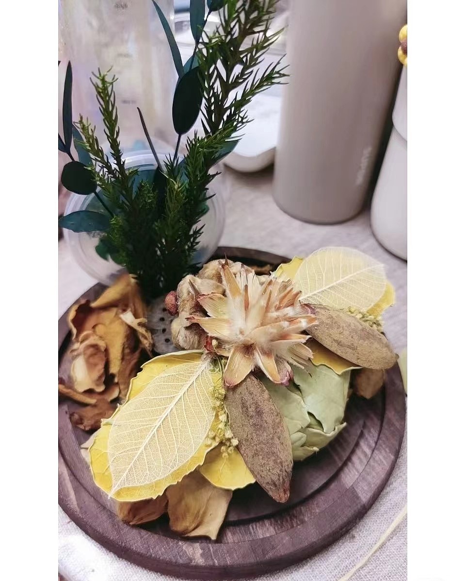 虫鸣之森（图ZMzA2NjI1OTA0） - 其他手工艺 - 站酷设计师小毛球崽原创素材 - 站酷ZCOOL