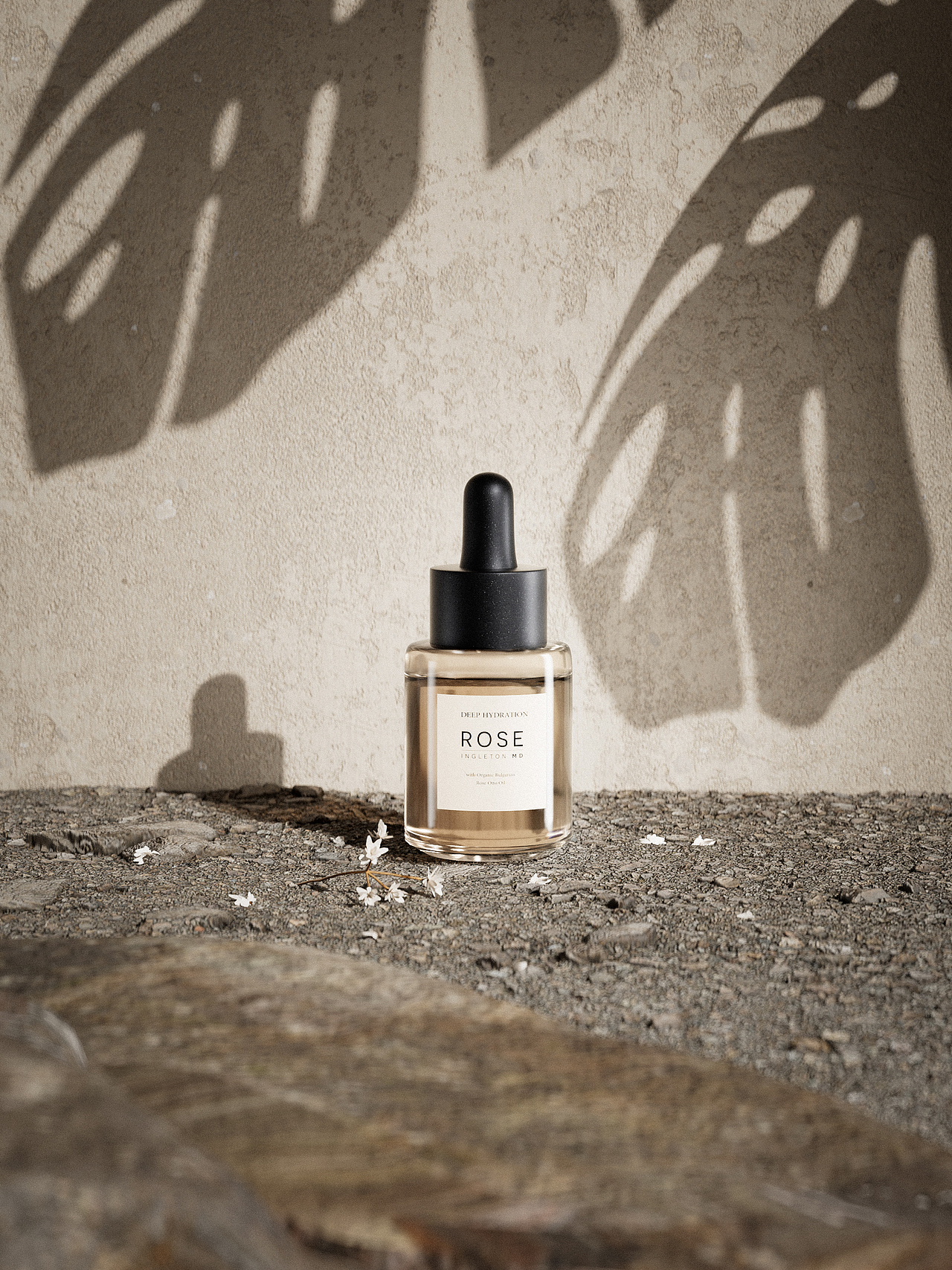 【C4D光影大师练习】-三月