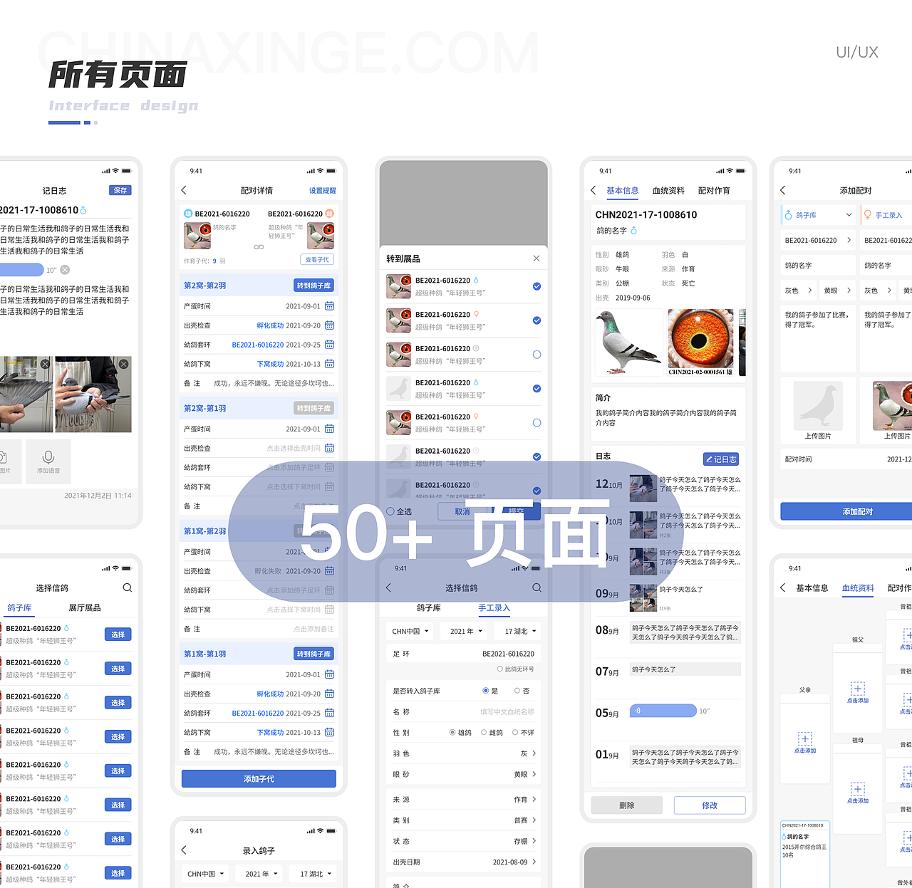 鸽子库（图ZMzMzMzQ1NjQw） - APP界面 - 站酷设计师稳中略带皮原创素材 - 站酷ZCOOL