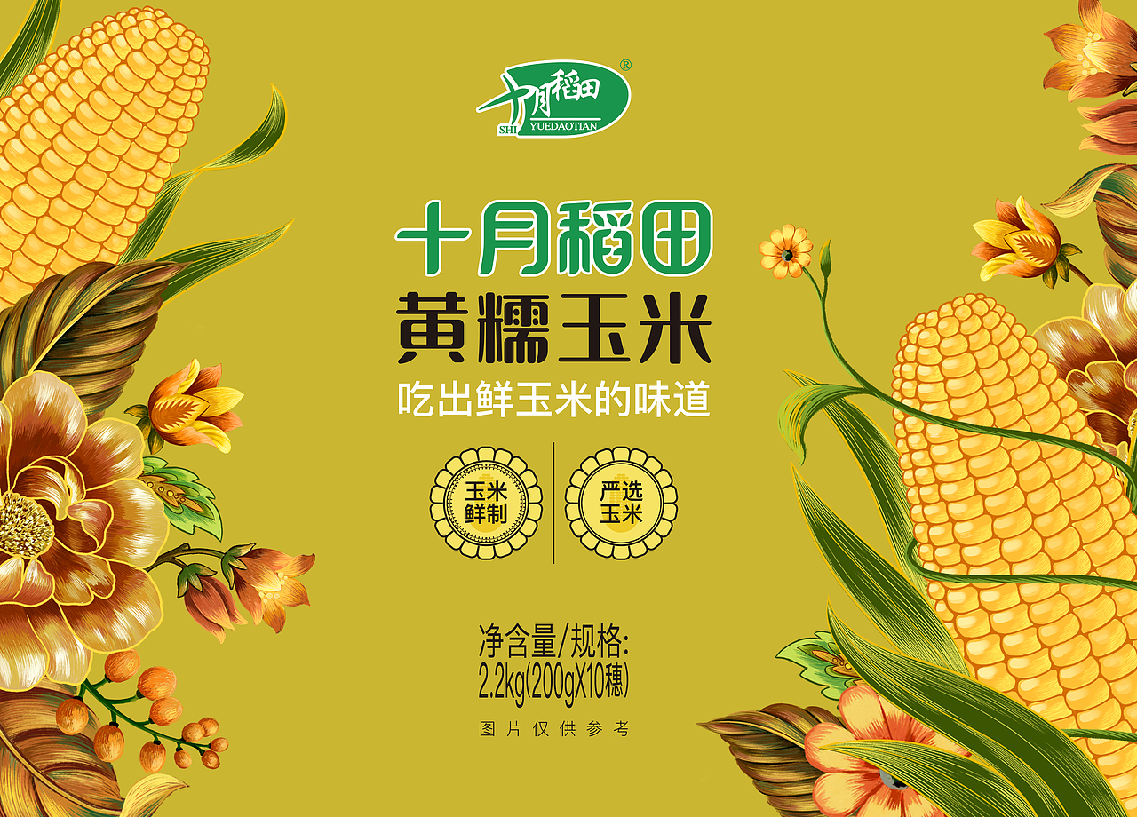 十月稻田一些大米杂粮包装插画