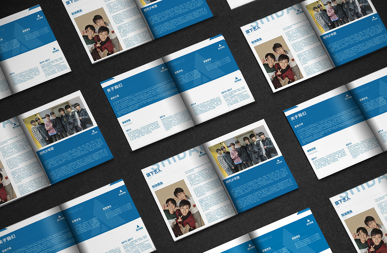 画 册- 宣 传 册 - 手 册（图ZMjk4NzE3NDM2） - 其他 - 站酷设计师布兰杜斯Brandus原创素材 - 站酷ZCOOL