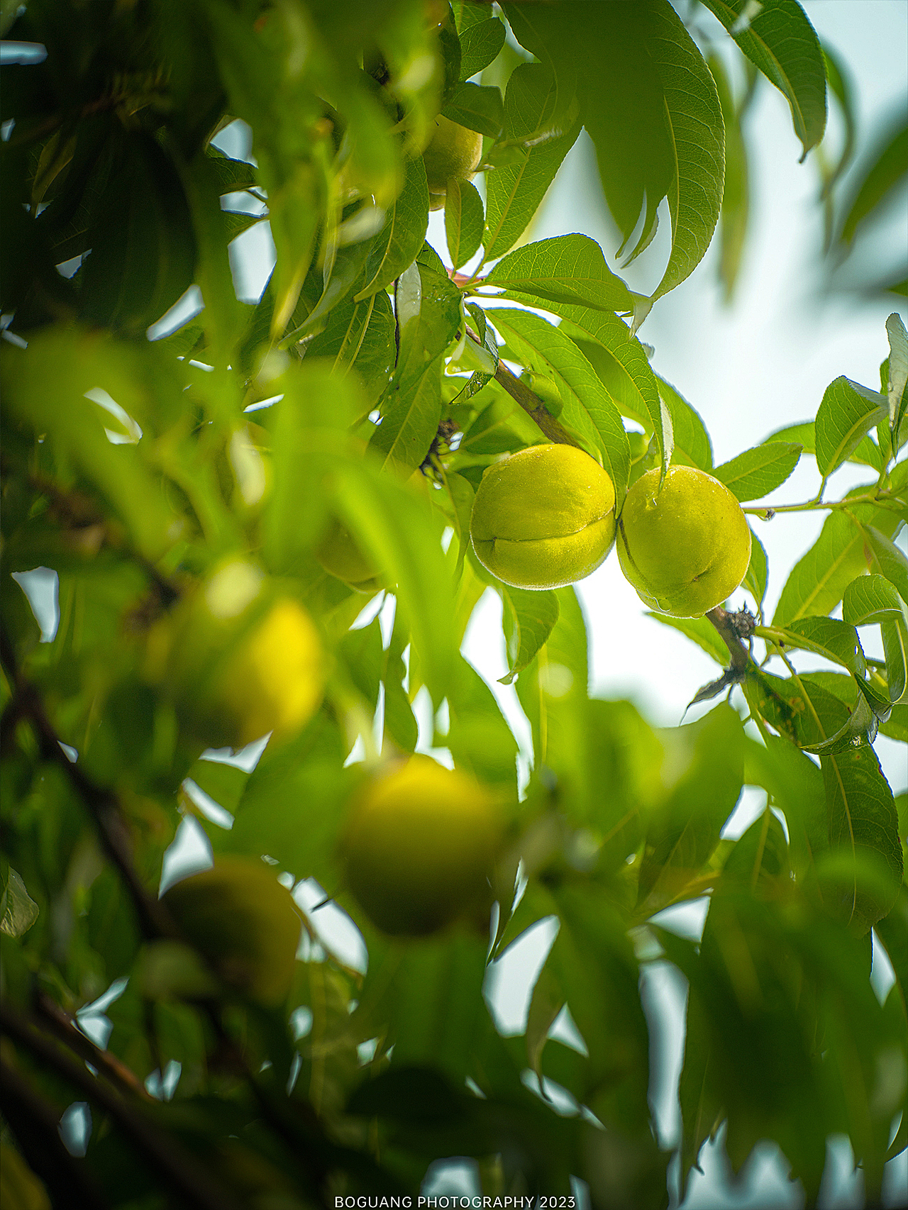 商业空间|麓湖麓隐（图ZMzQzNDg0Mzc2） - 环境/建筑摄影 - 站酷设计师成都泊光空间摄影原创素材 - 站酷ZCOOL