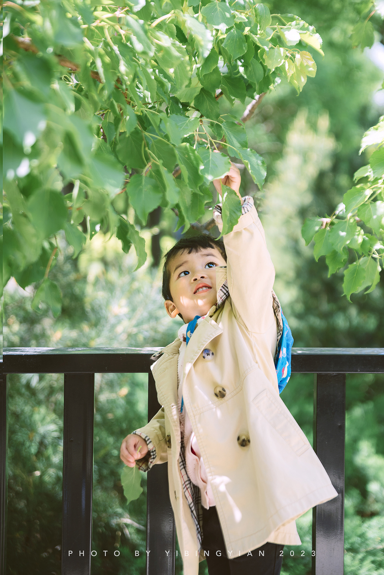 喜欢夏天和你笑起来的样子