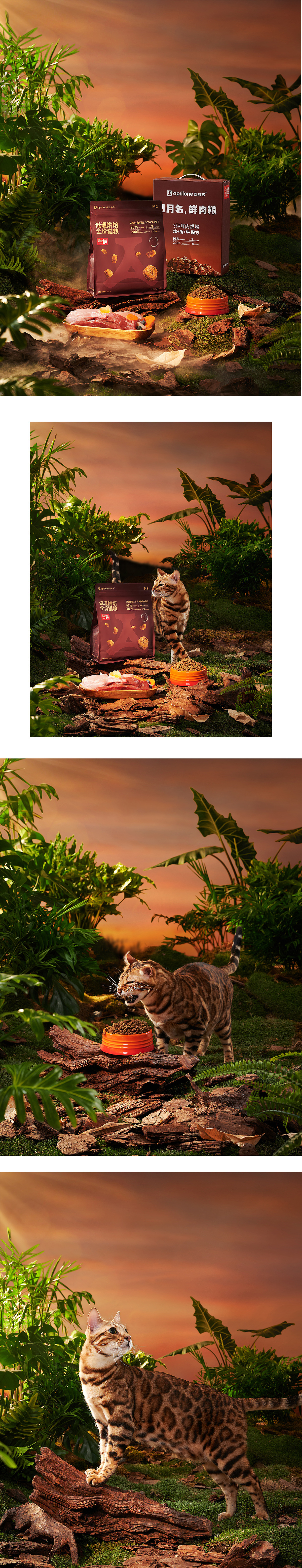 四月名m2低温烘焙猫粮|宠物 X 美集影像