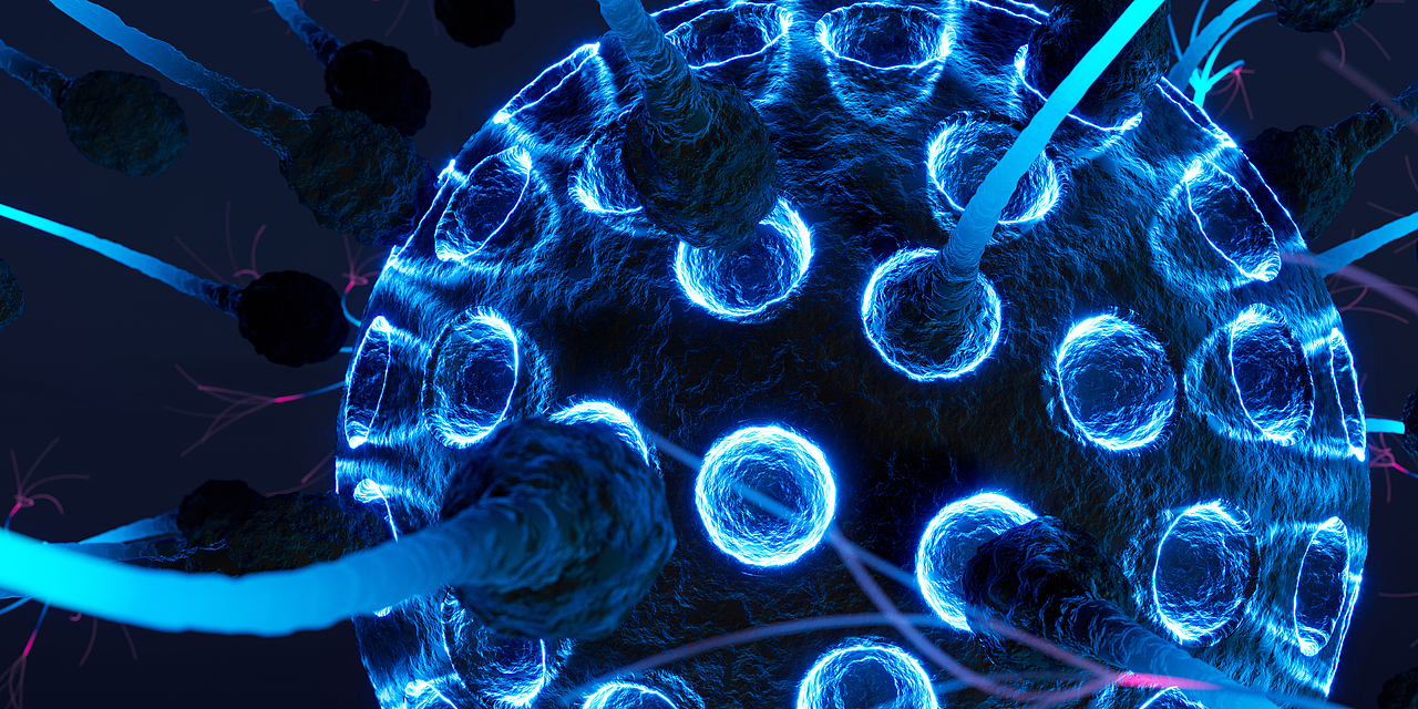 一些小幻想。。。