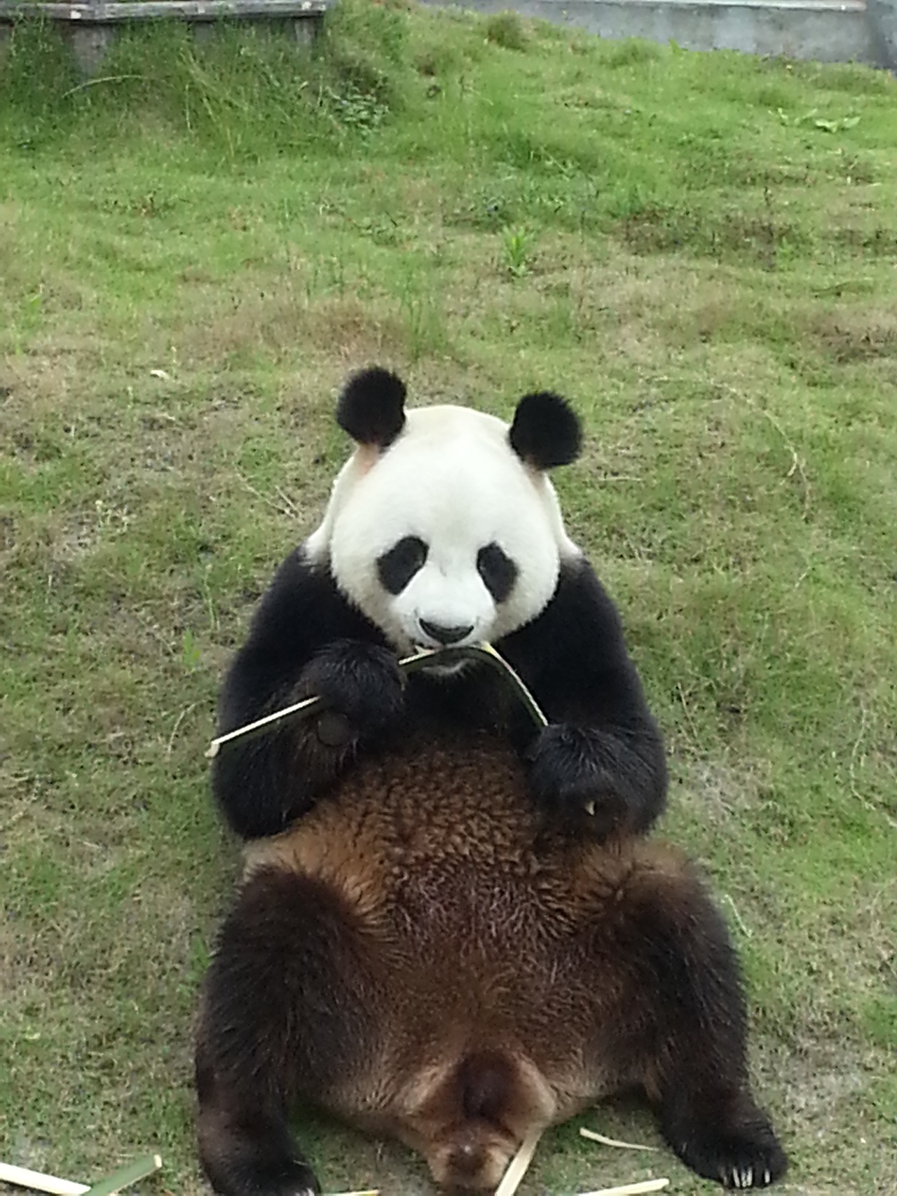 四川成都儿童乐园3D壁画（图ZMzI2MzQwNTY0） - 绘画 - 站酷设计师上海3D地贴原创素材 - 站酷ZCOOL