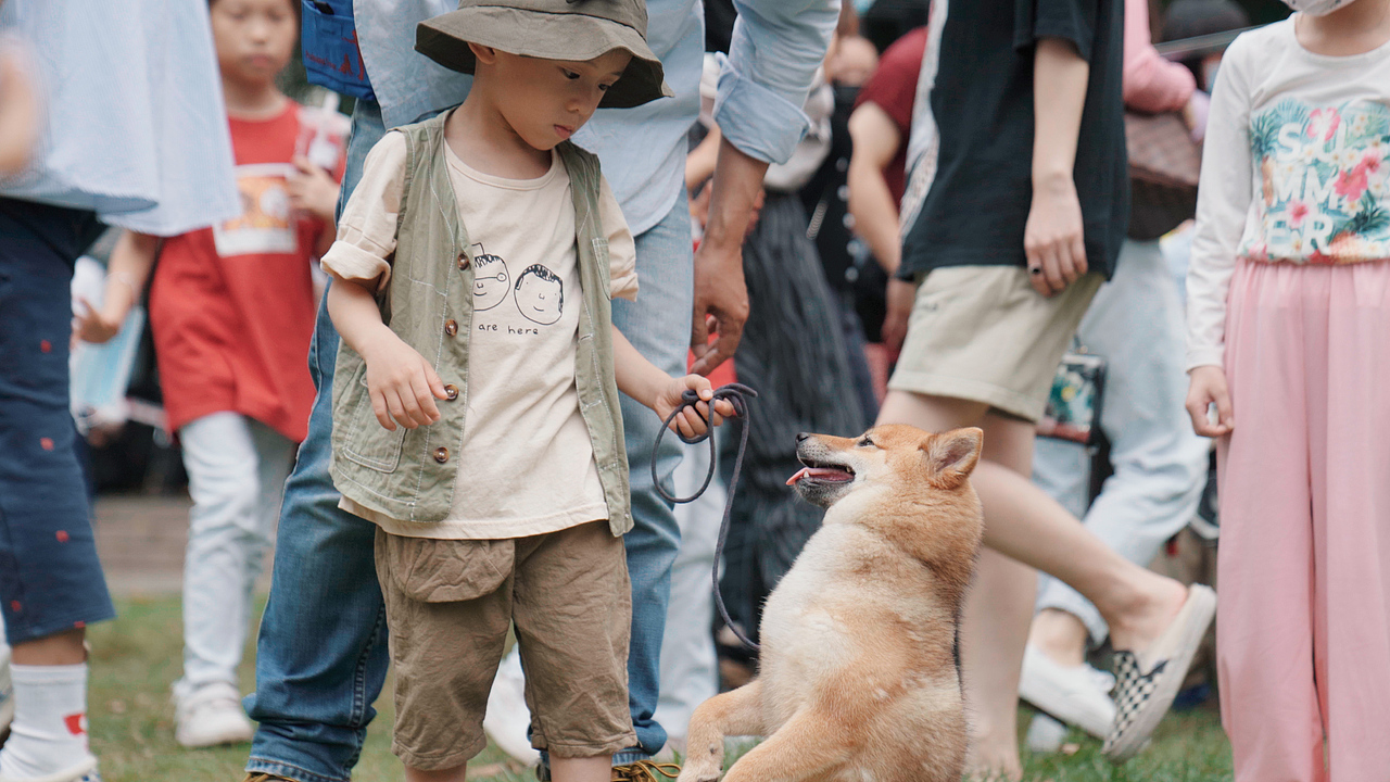 Silex Liquor|天地露营节|Plog