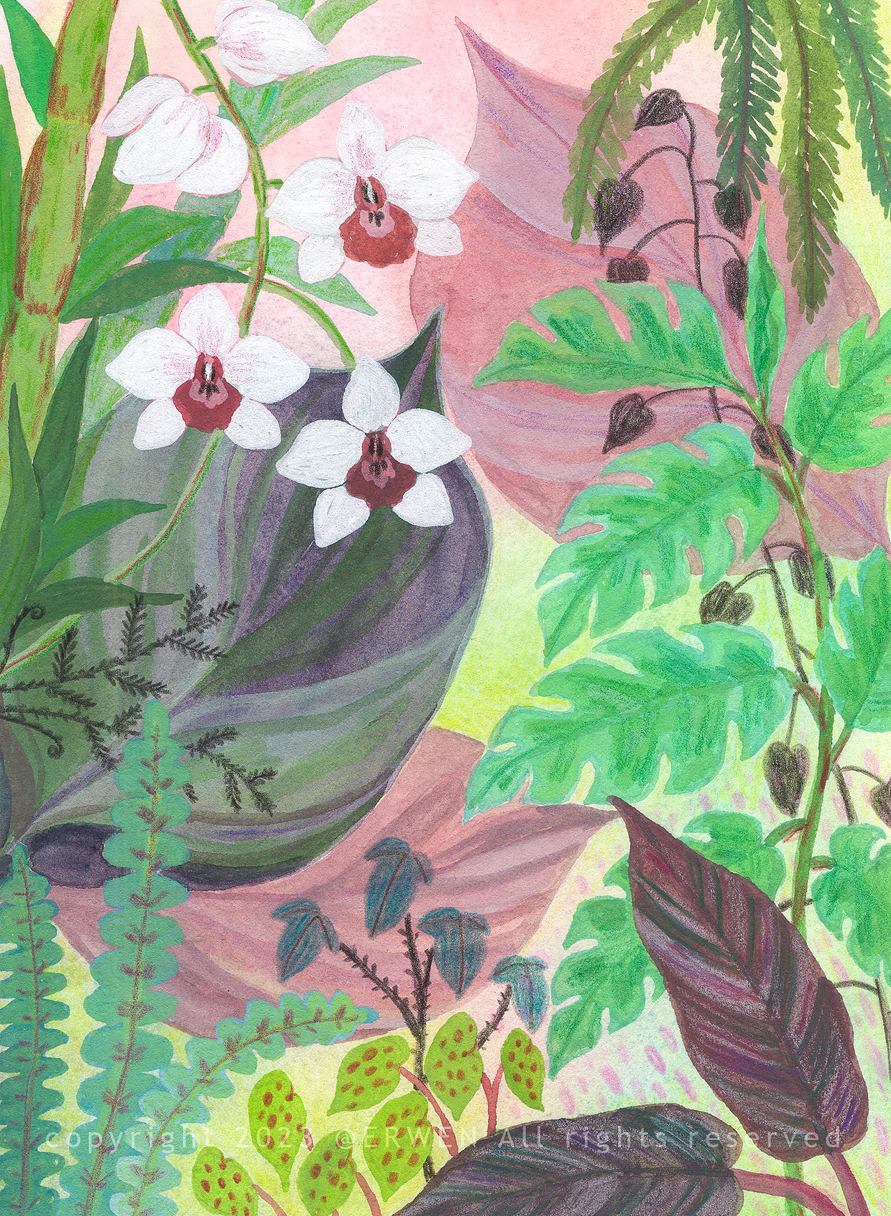 不透明水彩手绘《热带植物》（图ZMzU1ODAwNzQw） - 艺术插画 - 站酷设计师贰蚊摩尔原创素材 - 站酷ZCOOL