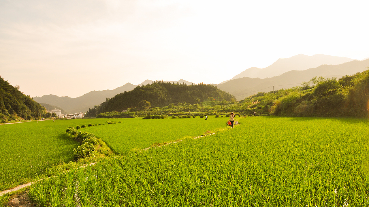 江西婺源（图ZMzYwNjQ2MTYw） - 风光摄影 - 站酷设计师郝德善原创素材 - 站酷ZCOOL