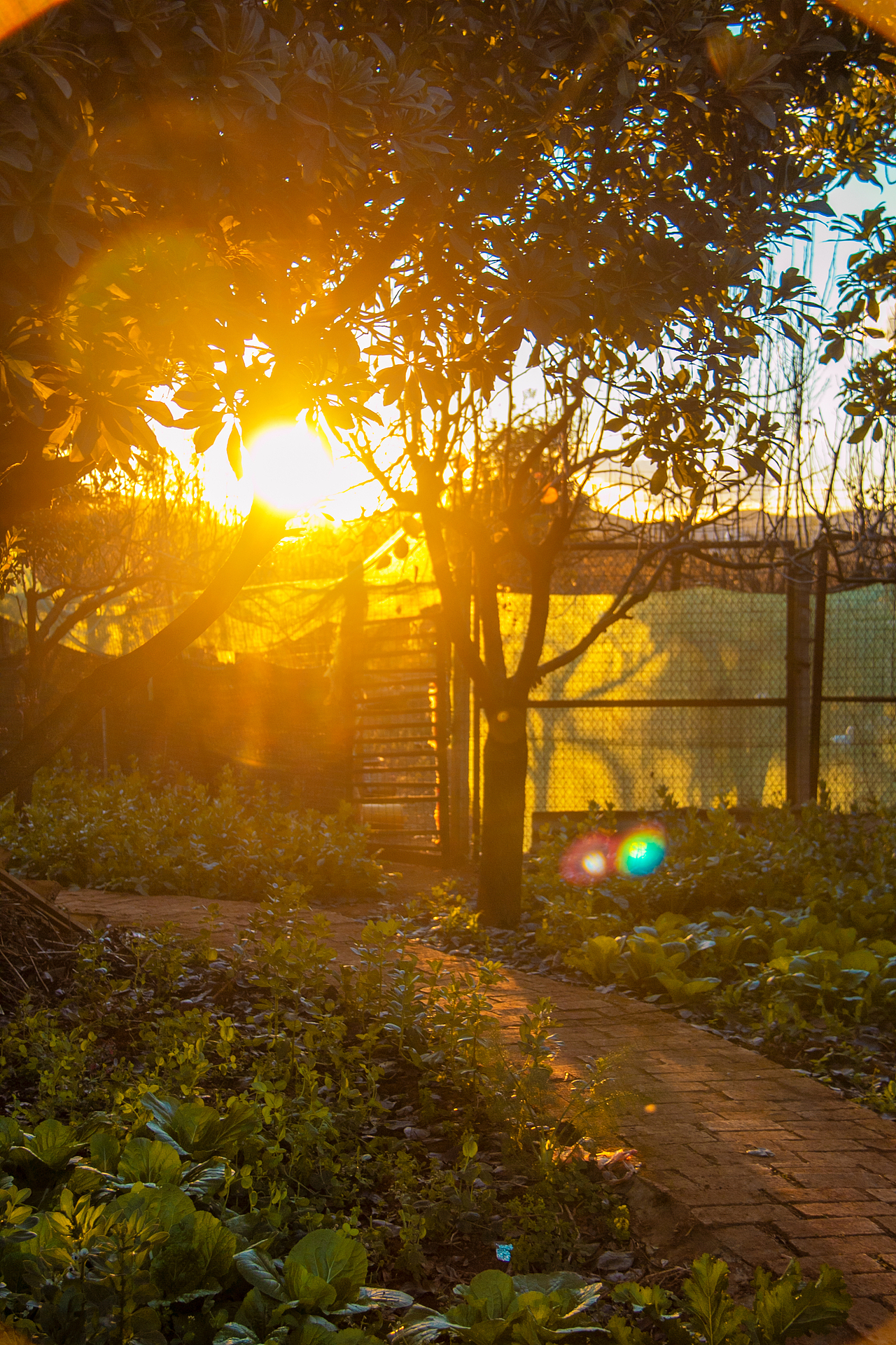 日落星野 人间值得（图ZMzU3NDQ5MTAw） - 风光摄影 - 站酷设计师Z01786667原创素材 - 站酷ZCOOL