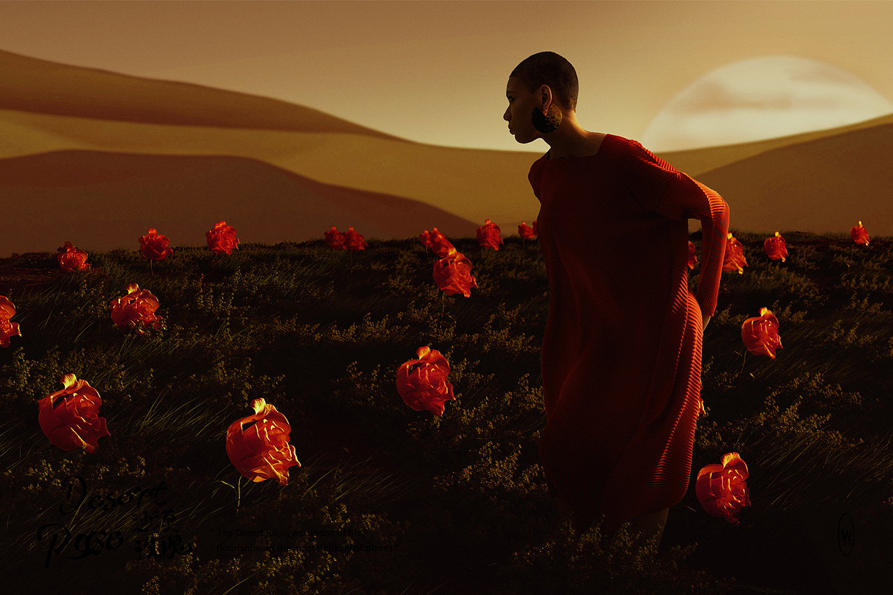 Desert Rose | 沙漠玫瑰（图ZMzY3NDc3NjIw） - 场景 - 站酷设计师这是个W原创素材 - 站酷ZCOOL