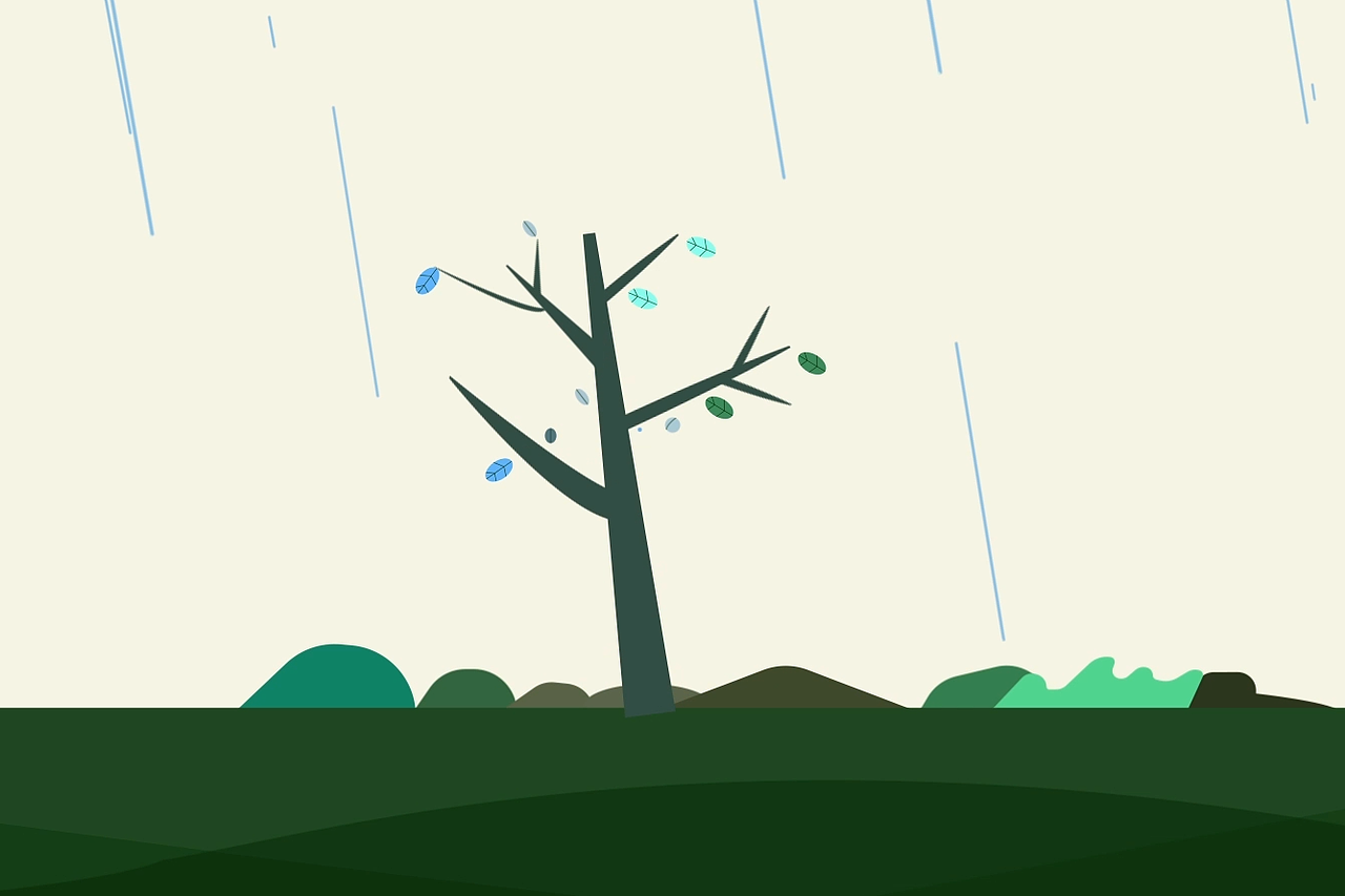 呵护自然生态（图ZMzM4MTYyOTky） - 宣传片 - 站酷设计师雷哥少女心原创素材 - 站酷ZCOOL