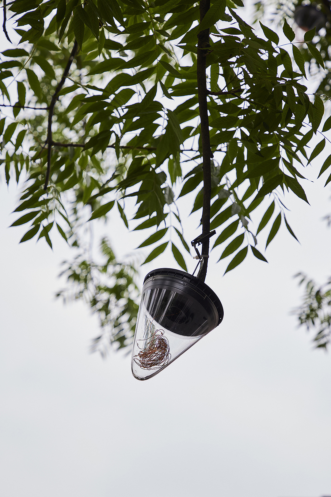 站在树木上的“鸟”会在夜幕降临时，和全街区的灯等一同的亮起。此刻，树上的小巢灯摇曳生姿，景观草坪中亮起的氛围灯光也显得俏皮可爱。不同点位上温暖协调的灯光将夜间的玉鸟商业气氛衬托得更多了几分烟火气。