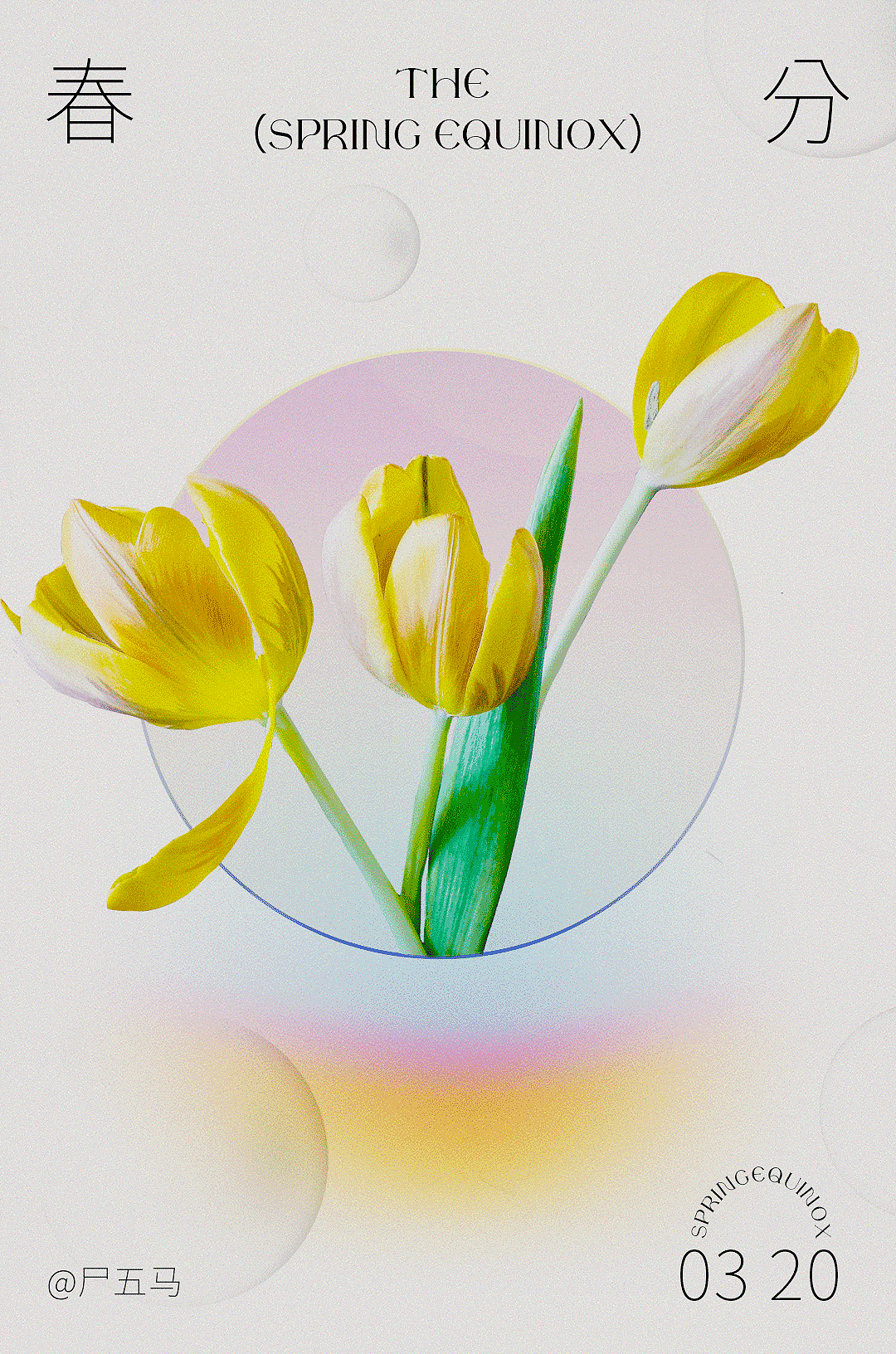 节气与节日|海报练习POSTER PRACTICE