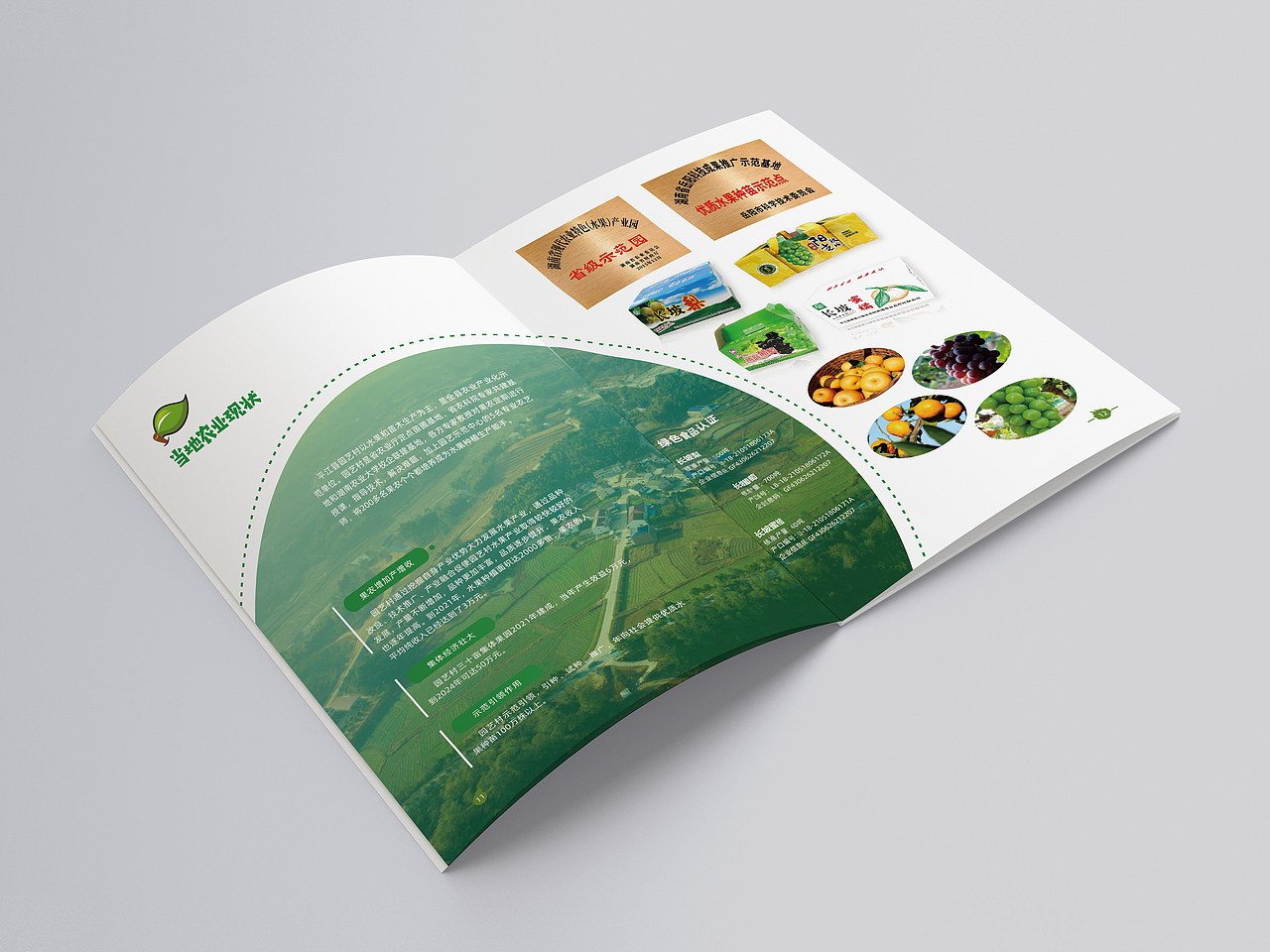 平江县园艺示范中心—争创全国乡村振兴示范村（图ZMzA3NzgxNTg0） - 书籍/画册 - 站酷设计师叁川传媒原创素材 - 站酷ZCOOL