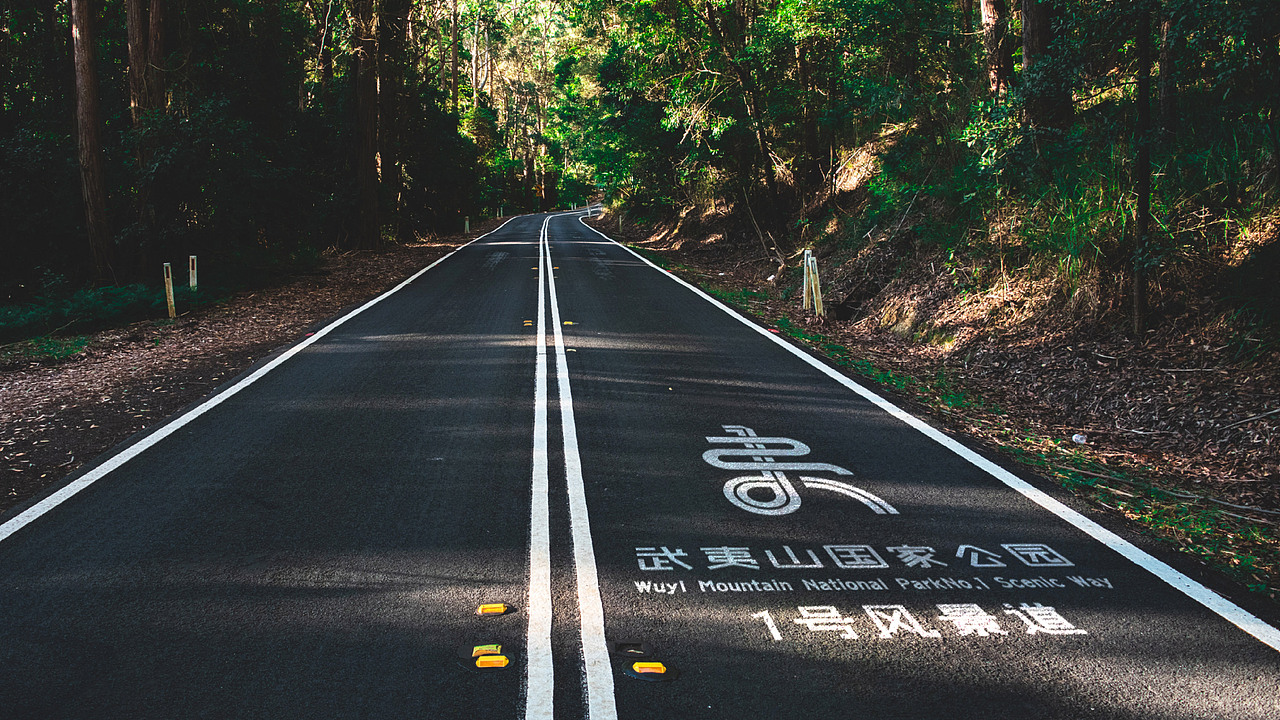 静，在武夷， 一路由你，随心而动