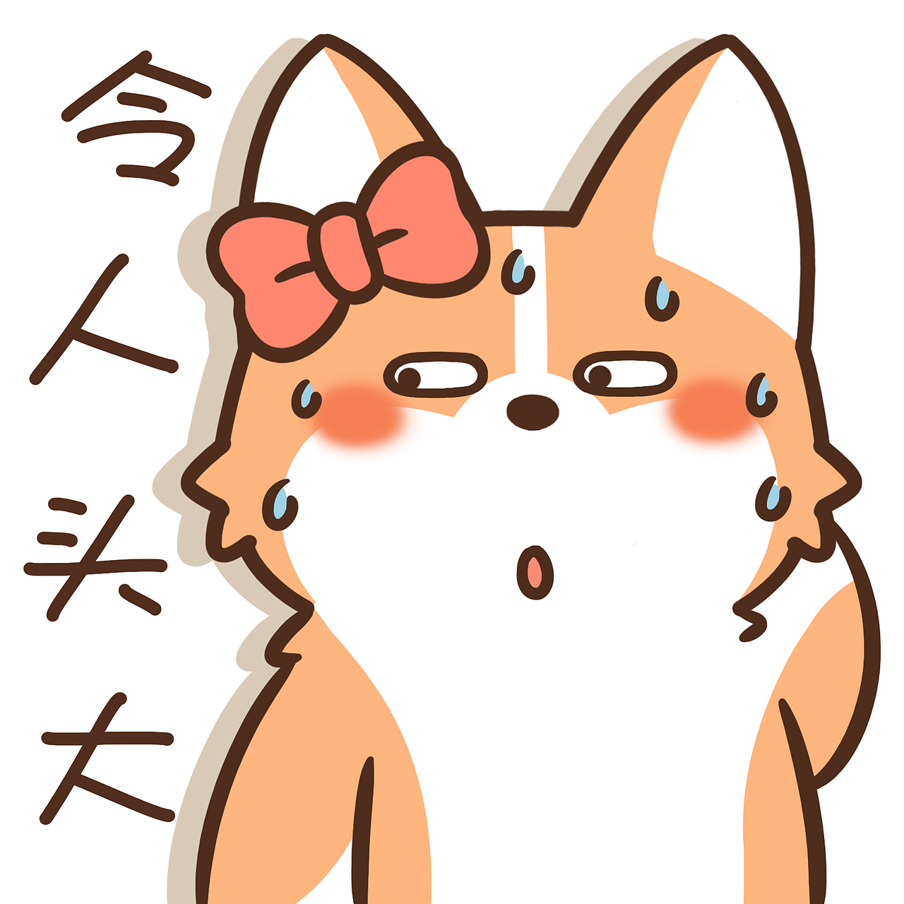蝴蝶结柯基