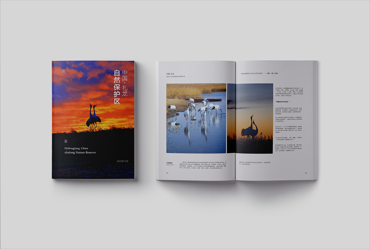 扎龙自然保护区旅游宣传画册+门票设计(图ZMzIzMTI1NjY0) - 宣传物料 - 站酷设计师柠檬味的小熊原创素材 - 站酷ZCOOL