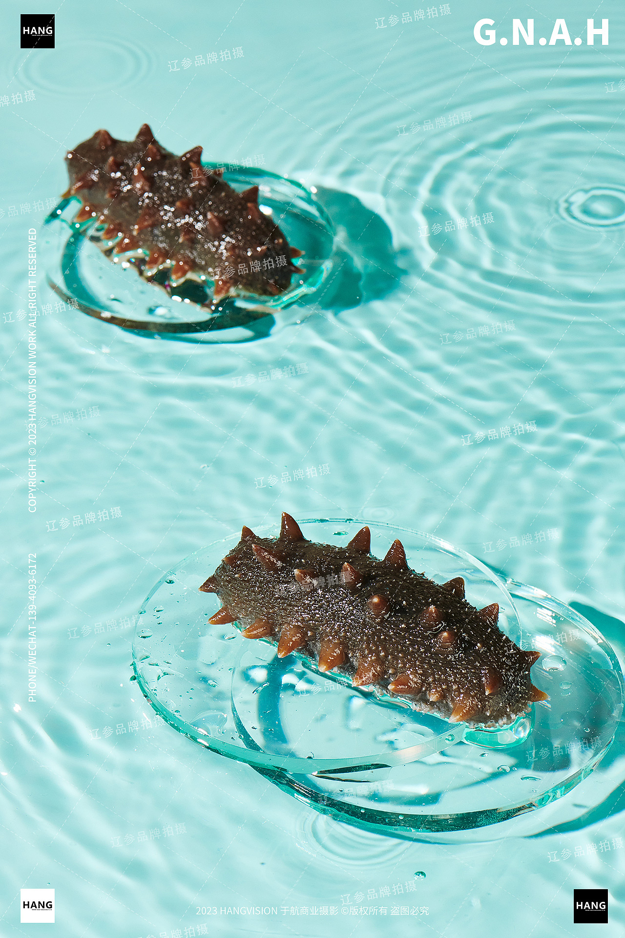 大连海参拍摄干海参即食海参辽参品牌野生海参海鲜拍摄