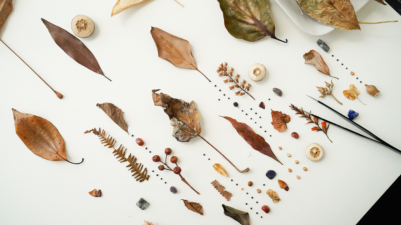 植物美学工作室-安与植